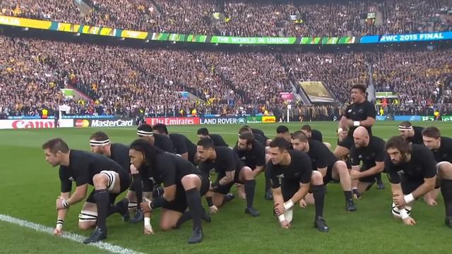 La Coupe du monde de rugby 2015 a été rentable pour TF1. 