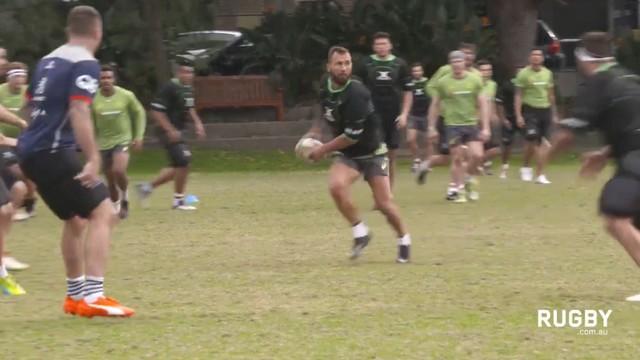 Rugby Championship. Les Wallabies s'entraînent au rugby à XIII.