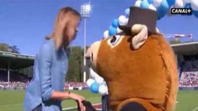 Quand Pottoka demande Isabelle Ithurburu en mariage.