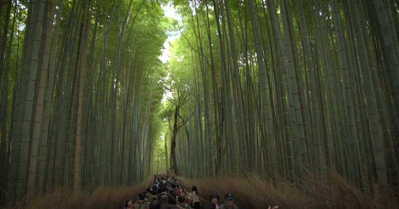 Kyoto - Top 5 des activités pour épicer votre séjour pendant la Coupe du monde