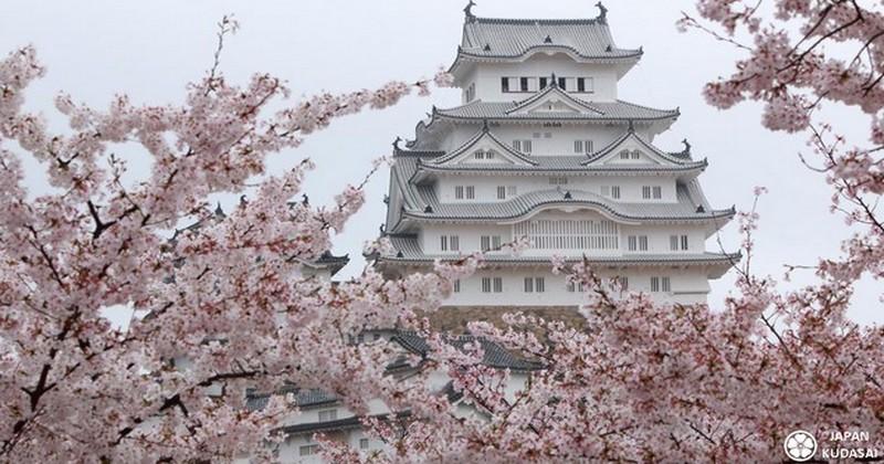 Coupe du monde 2019 - 5 excursions à moins d’une heure de Kyoto