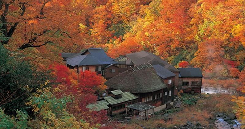 [Voyage Coupe du Monde] Découvrez pourquoi le Nord-Est du Japon est un immanquable à faire en train
