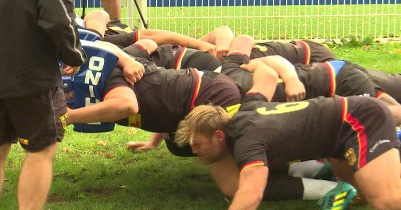 Les Allemands se sont pris d'amour pour le mondial.