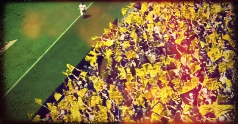 Les abonnés du Stade Rochelais sont appelés à faire un geste solidaire.