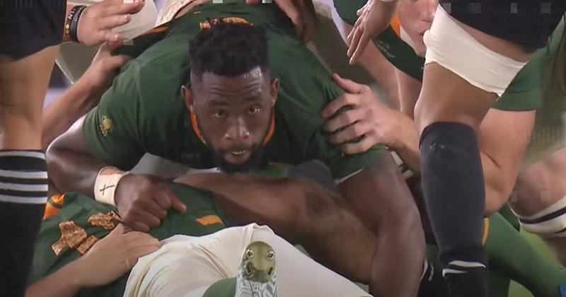 Kolisi va mener son équipe ce vendredi.