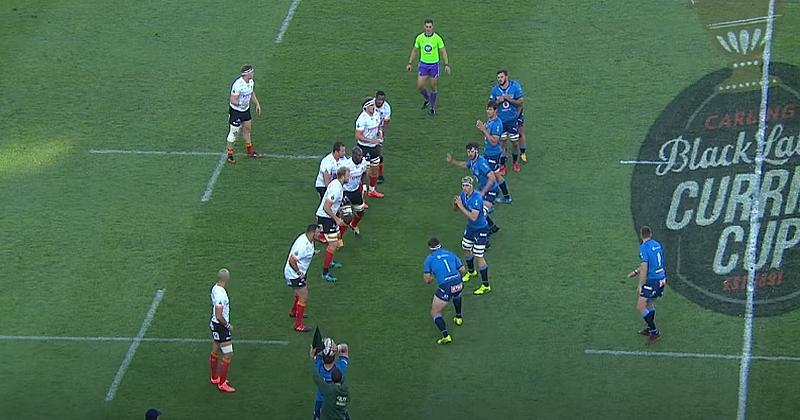 Challenge Cup. Faux départ pour les franchises sud-africaines en Coupe d'Europe