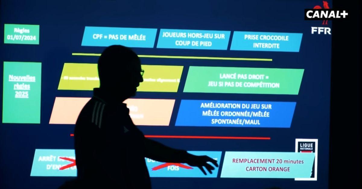 VIDEO. Carton orange : tout ce que vous devez savoir avant la 1re journée de Top 14