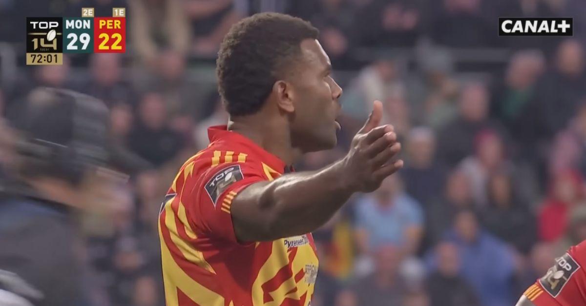 USAP décimée : 21 absents, 16 blessés, la composition casse-tête de Perpignan