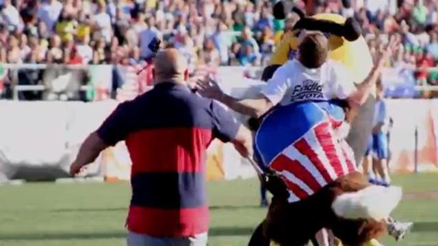 Un aigle met un tampon terrible à un supporter espagnol.